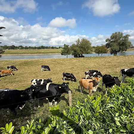 Ferienhaus Luxchalet Ella Mit Aussicht Auf Ijssel Im Mit Pool Und Holland Niederlande Lathum