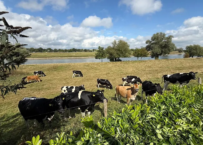 Ferienhaus Luxchalet Ella Mit Aussicht Auf Ijssel Im Mit Pool Und Holland Niederlande Lathum